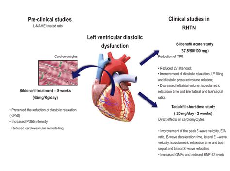 lv dysfunction treatment|grades of Lv diastolic dysfunction.